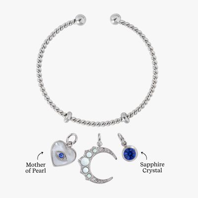 Cosmic Shield Charm Bundle