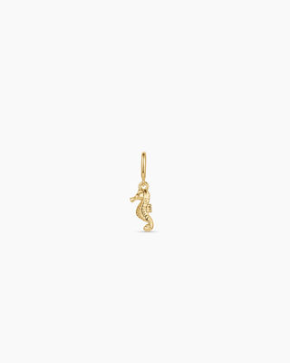 Seahorse Parker Charm