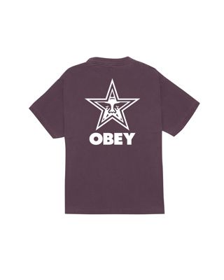 Obey Bold Star Pigment T-Shirt